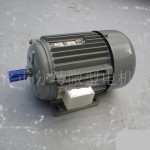 Motor Trifasico Motor eletrico